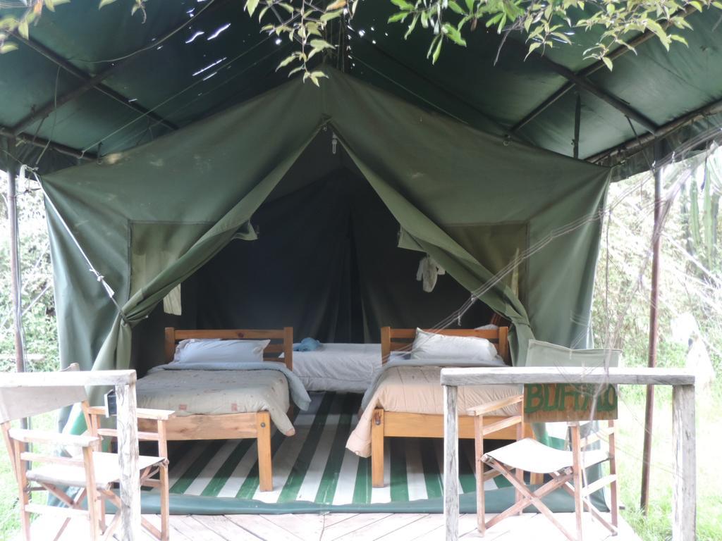 Enchoro Wildlife Camp Hotel Ololaimutiek Eksteriør billede