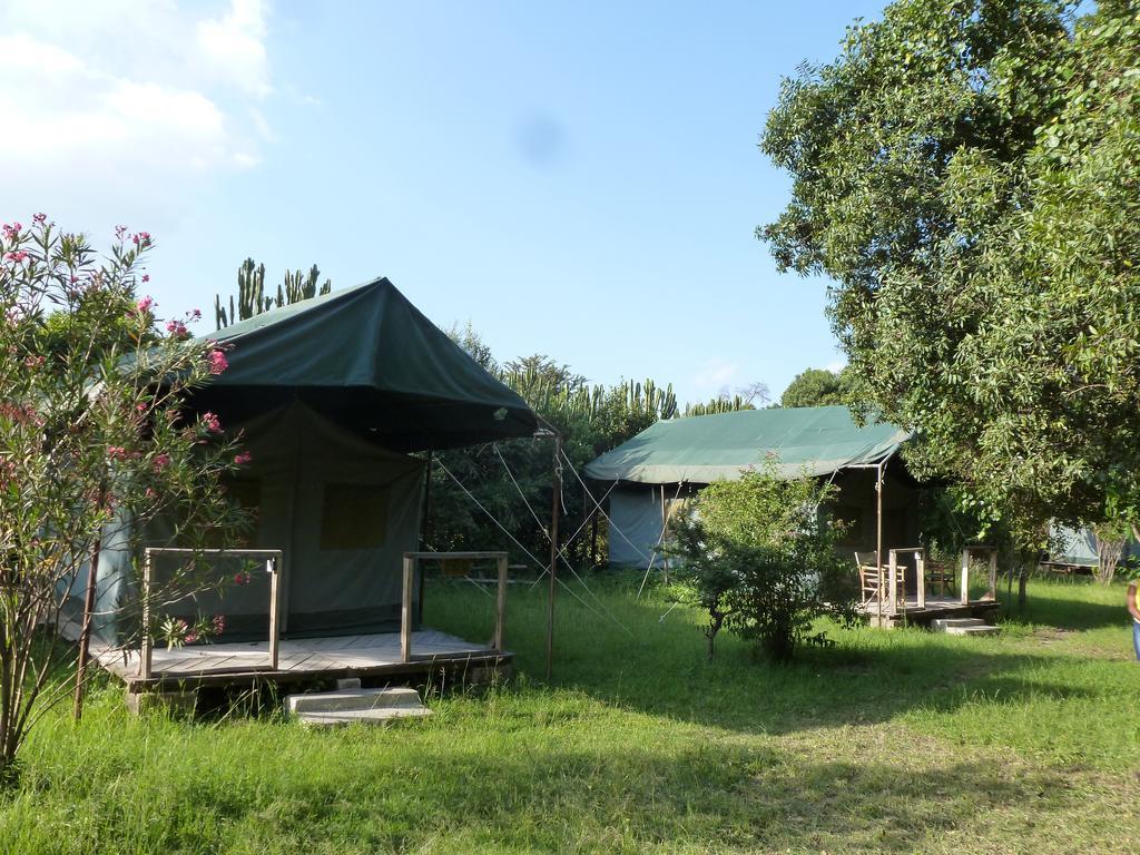 Enchoro Wildlife Camp Hotel Ololaimutiek Eksteriør billede